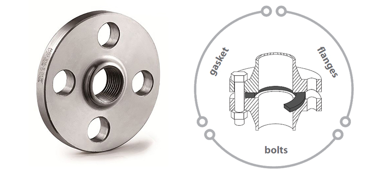 Stainless steel threaded flange