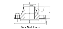 Carbon Steel Welding Neck Flanges DIN 2631